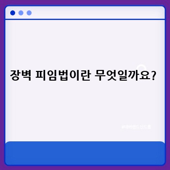 장벽 피임법이란 무엇일까요?