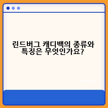 린드버그 캐디백의 종류와 특징은 무엇인가요?