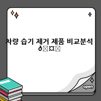 차량 습기 제거 제품 비교분석 🤔