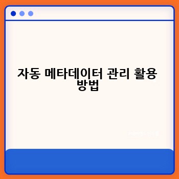 자동 메타데이터 관리 활용 방법