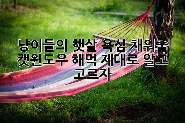 냥이들의 햇살 욕심 채워줄 캣윈도우 해먹, 제대로 알고 고르자! 😻