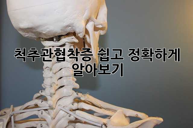 척추관협착증, 쉽고 정확하게 알아보기