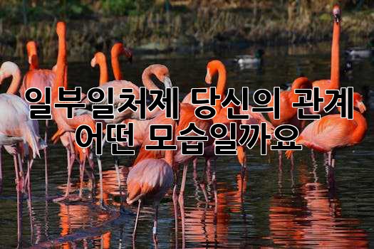 일부일처제: 당신의 관계, 어떤 모습일까요?