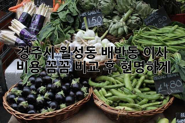 경주시 월성동 배반동 이사, 비용 꼼꼼 비교 후 현명하게!