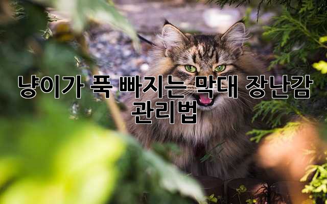 냥이가 푹 빠지는 막대 장난감 관리법!