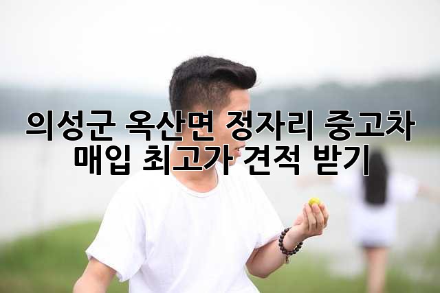 의성군 옥산면 정자리 중고차 매입 최고가 견적 받기