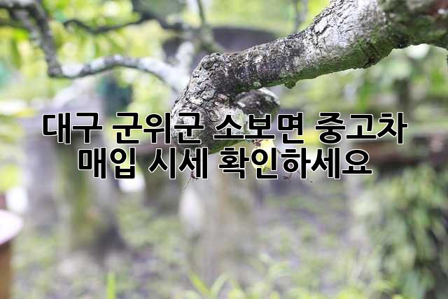 대구 군위군 소보면 중고차 매입 시세 확인하세요!
