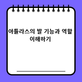 아틀라스의 발 기능과 역할 이해하기