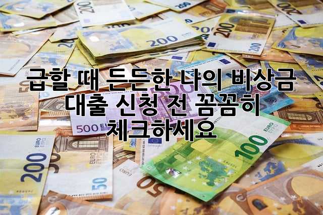 급할 때 든든한 나의 비상금 대출, 신청 전 꼼꼼히 체크하세요!