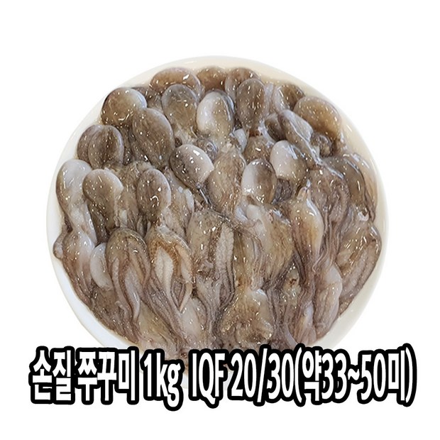 쭈꾸미 1키로, 이 가격 실화?! 핵꿀팁 대방출!