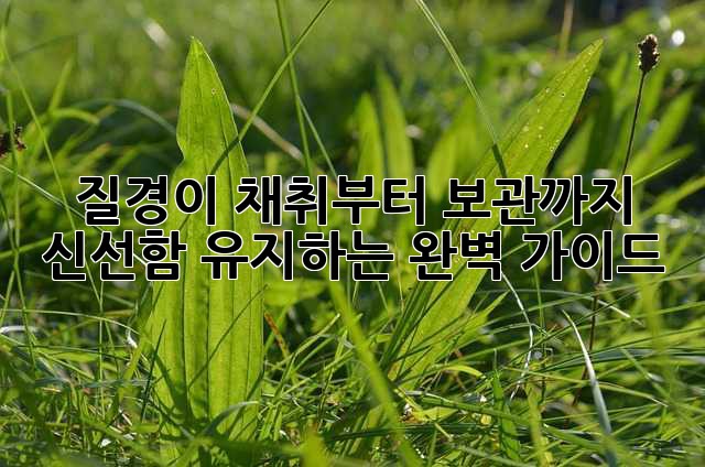 질경이 채취부터 보관까지, 신선함 유지하는 완벽 가이드!
