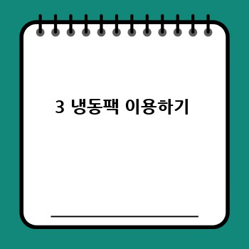 3 냉동팩 이용하기