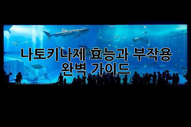 나토키나제 효능과 부작용 완벽 가이드