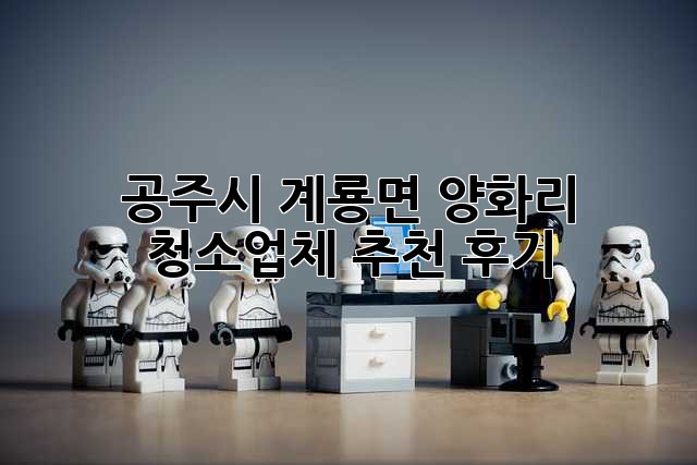 공주시 계룡면 양화리 청소업체 추천 후기