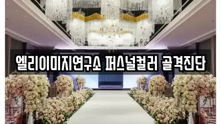 엘리이미지연구소 퍼스널컬러 골격진단