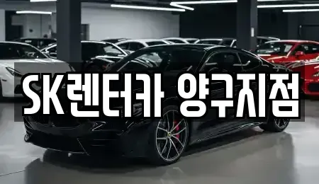강원 양구군 양구읍 렌트카,단기렌트카,장기렌트카,중고차,중고차매매,중고차매입