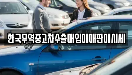 강원 양구군 양구읍 중고차 전문 한국무역중고차수출매입매매판매시세