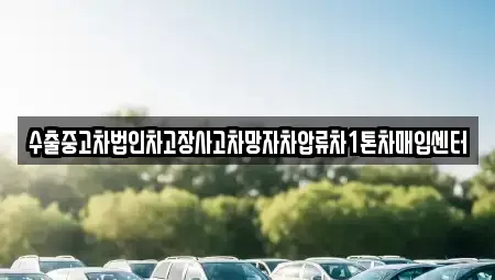 강원 양구군 양구읍 중고차매매 전문 수출중고차법인차고장사고차망자차압류차1톤차매입센터