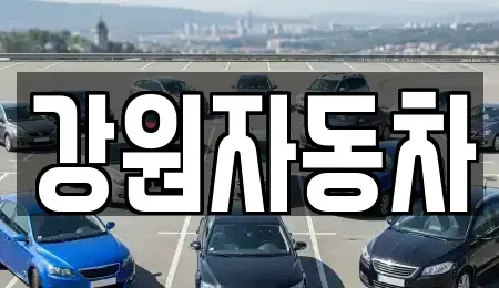 강원 원주시 지정면 중고차 전문 강원자동차