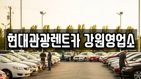 강원특별자치도 강릉시 유천동 렌트카 전문 현대관광렌트카 강원영업소