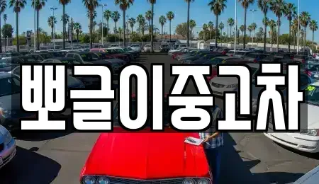 강원특별자치도 고성군 죽왕면 중고차 전문 뽀글이중고차