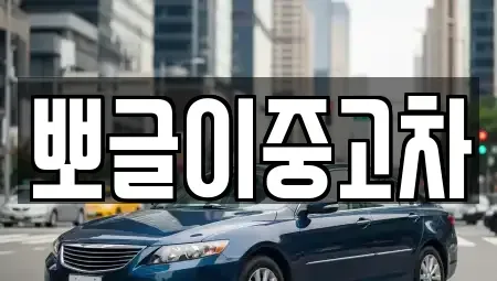 강원특별자치도 동해시 이로동 중고차 전문 뽀글이중고차