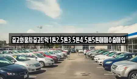 강원특별자치도 동해시 이로동 장기렌트카,중고차,렌트카,단기렌트카,중고차매입,중고차매매
