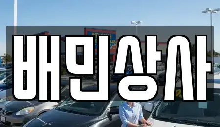 강원특별자치도 삼척시 우지동 중고차 전문 배민상사