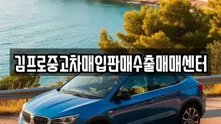강원특별자치도 삼척시 우지동 중고차매입 전문 김프로중고차매입판매수출매매센터