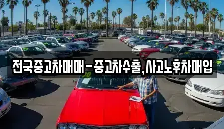강원특별자치도 삼척시 우지동 중고차매입 전문 전국중고차매매-중고차수출,사고노후차매입