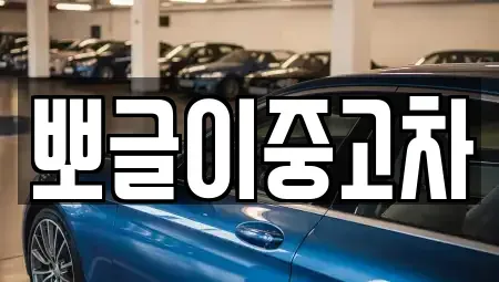 강원특별자치도 속초시 도문동 중고차 전문 뽀글이중고차