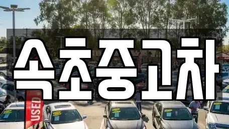 강원특별자치도 속초시 도문동 중고차 전문 속초중고차