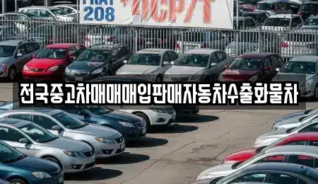 강원특별자치도 속초시 도문동 중고차 전문 전국중고차매매매입판매자동차수출화물차