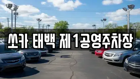 강원특별자치도 태백시 렌트카 전문 쏘카 태백 제1공영주차장