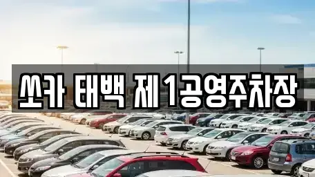 강원특별자치도 태백시 렌트카 전문 쏘카 태백 제1공영주차장