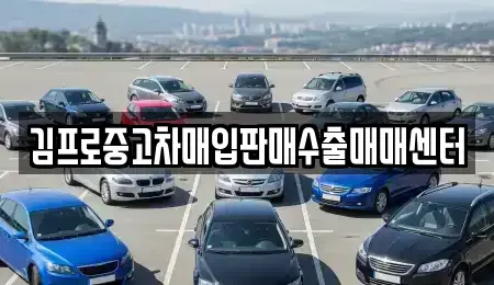 강원특별자치도 태백시 중고차 전문 김프로중고차매입판매수출매매센터