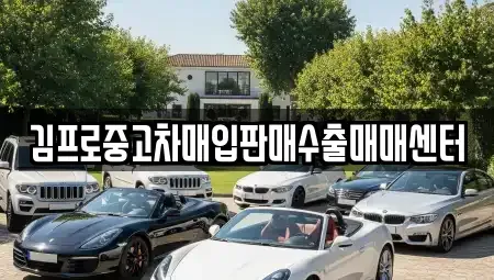강원특별자치도 태백시 중고차매매 전문 김프로중고차매입판매수출매매센터