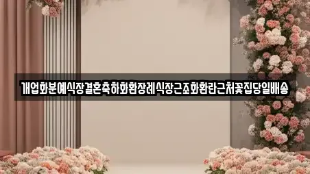 개업화분예식장결혼축하화환장례식장근조화환란근처꽃집당일배송
