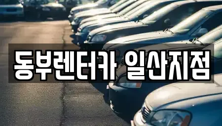 경기 고양시 일산동구 식사동 렌트카 전문 동부렌터카 일산지점
