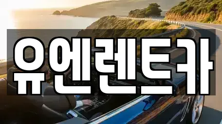 경기 고양시 일산동구 식사동 렌트카 전문 유엔렌트카