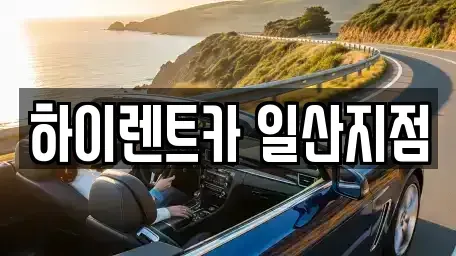 경기 고양시 일산동구 식사동 렌트카 전문 하이렌트카 일산지점