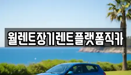 경기 고양시 일산동구 식사동 장기렌트카 전문 월렌트장기렌트플랫폼직카
