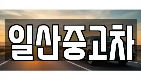 경기 고양시 일산동구 식사동 중고차 전문 일산중고차