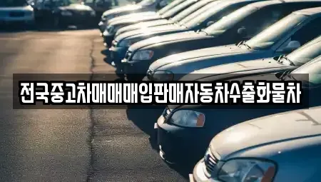 경기 고양시 일산동구 식사동 중고차 전문 전국중고차매매매입판매자동차수출화물차