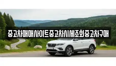 경기 고양시 일산동구 식사동 중고차 전문 중고차매매사이트중고차시세조회중고차구매