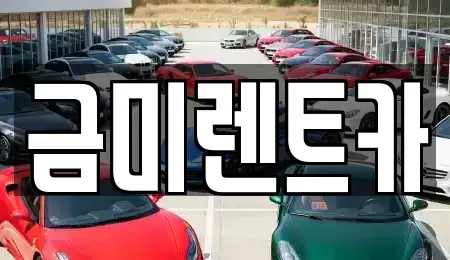 경기 부천시 오정구 내동 렌트카 전문 금미렌트카