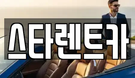 경기 부천시 오정구 내동 렌트카 전문 스타렌트카