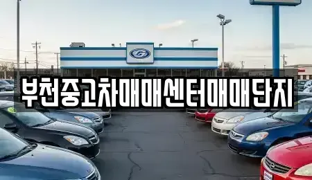 경기 부천시 오정구 내동 중고차 전문 부천중고차매매센터매매단지
