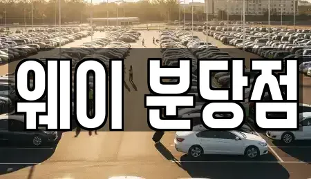 경기 성남시 분당구 단기렌트카 전문 웨이 분당점