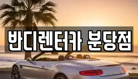 경기 성남시 분당구 렌트카 전문 반디렌터카 분당점